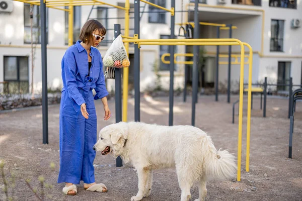 Frau Bringt Ihrem Hund Auf Sportplatz Freien Kommandos Bei Und — Stockfoto