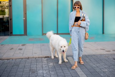 Tatlı beyaz köpeğiyle marketten dışarı çıkan bir kadın, dükkan kapısının önünde şarap şişeleri taşıyor. Evcil hayvan ve yaşam tarzıyla dostluk kavramı