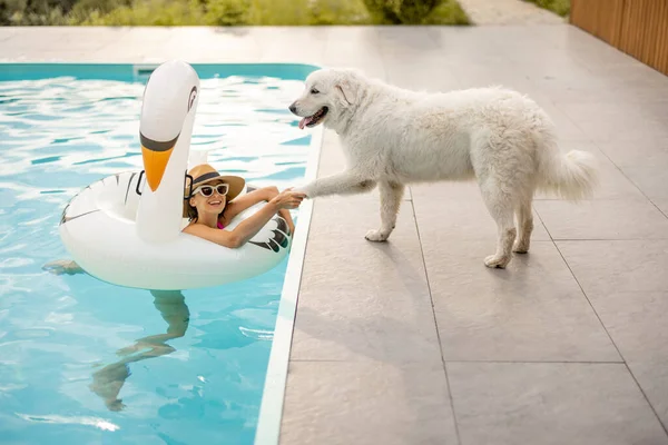 女人在充气的火烈鸟上游泳 和她可爱的白狗玩耍 夏天和宠物一起在游泳池里玩耍 — 图库照片