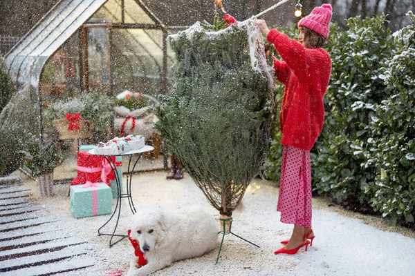 Mulher Nova Suéter Vermelho Chapéu Descompacta Árvore Natal Rede Embalagem — Fotografia de Stock