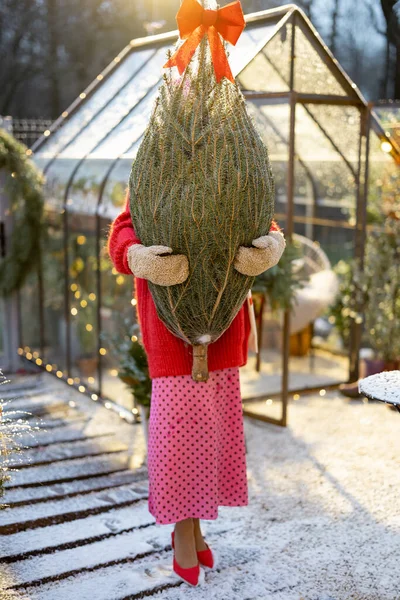 Jovem Mulher Carrega Envolto Árvore Natal Preparando Para Decorá Durante — Fotografia de Stock