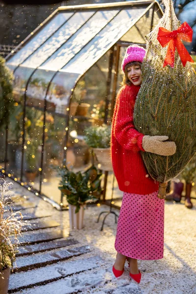 Young Woman Carries Wrapped Christmas Tree Preparing Decorate Snowfall Fabulously — Stock Photo, Image