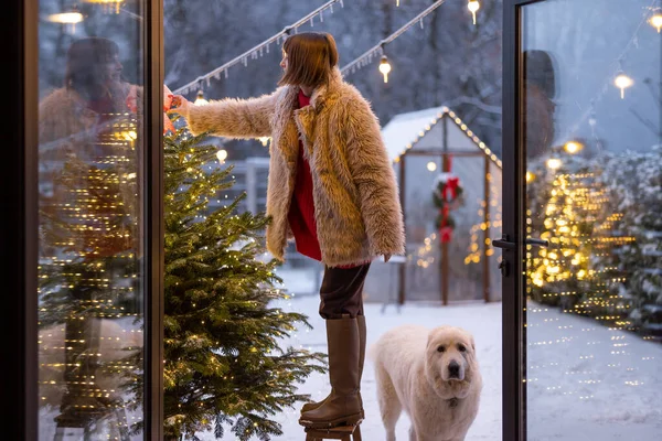 年轻的女人装饰着圣诞树 头顶着喜庆的弓 站在台阶梯子上 与狗一起站在美丽的雪地后院里 透过窗户眺望 准备寒假 — 图库照片