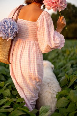 Elbiseli bir kadın yaz günbatımında köpeğiyle ve çiçekleriyle tarlada yürüyor. Dikiz aynası. Güzellik kavramı ve yazları doğada geçirmek