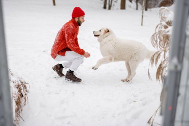 Kırmızı kazaklı ve şapkalı bir adam karlı çimlerde bir köpekle oynuyor. Kış zamanını birlikte geçirmek.