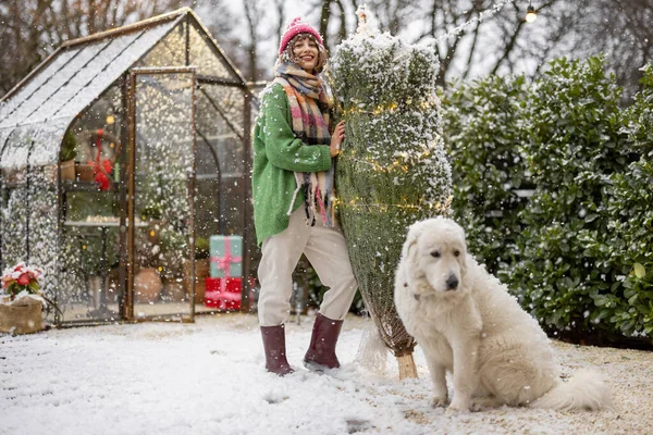一个女人站在她家附近装饰精美的院子里 带着包装好的圣诞树和她的狗的画像 寒假快乐与魔法的概念 — 图库照片