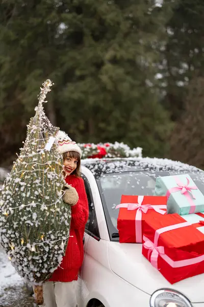 Karlı Havada Dağlarda Arabayla Seyahat Eden Sarılı Noel Ağacı Olan — Stok fotoğraf