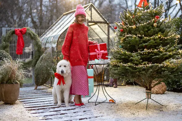 一个身穿红色衣服的女人的画像 她带着礼品盒和她可爱的狗站在雪地上装饰精美的院子里 寒假快乐与魔法的概念 — 图库照片