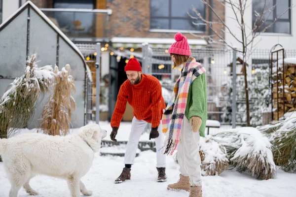 Jovem Casal Brincar Com Seu Cão Adorável Quintal Nevado Passando — Fotografia de Stock