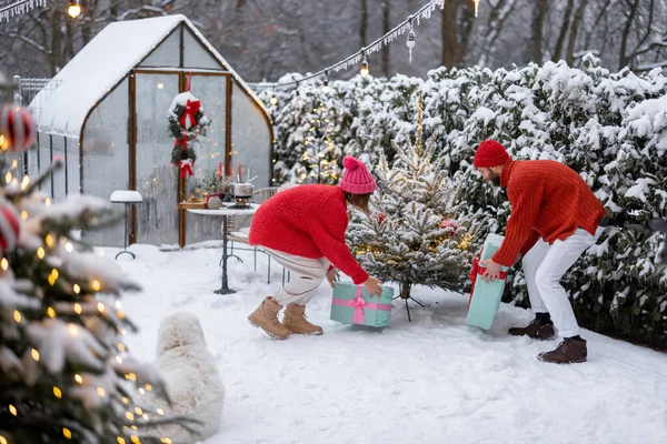 冬の休暇のために裏庭を飾る間 男性と女性はクリスマスツリーの下にプレゼントを置きます 新年を祝う幸せな家族 屋外の休日 — ストック写真