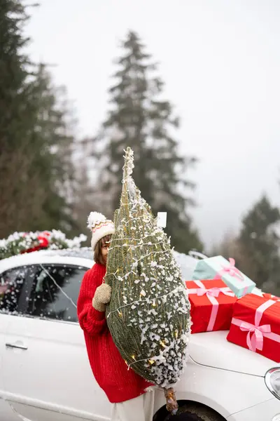 Porträt Einer Frau Mit Eingewickeltem Weihnachtsbaum Die Bei Verschneitem Wetter — Stockfoto