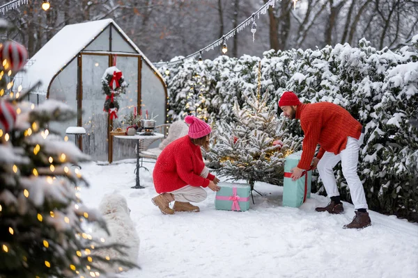 Homem Mulher Colocam Presentes Sob Árvore Natal Enquanto Decoram Quintal — Fotografia de Stock