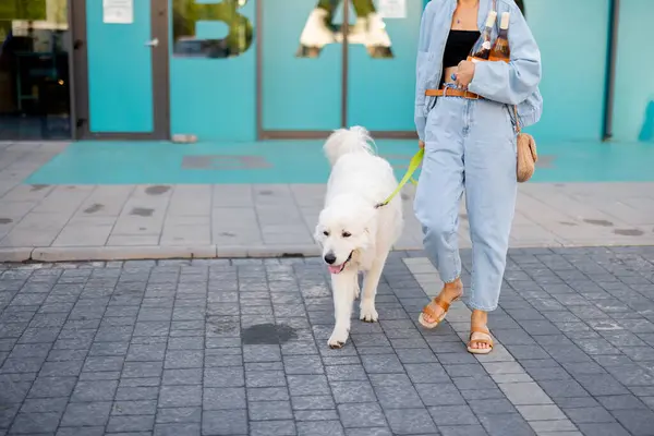 Woman going with her cute white dog out of a supermarket, carrying wine bottles in front of a shop doors. Concept of firendship with pets and lifestyle