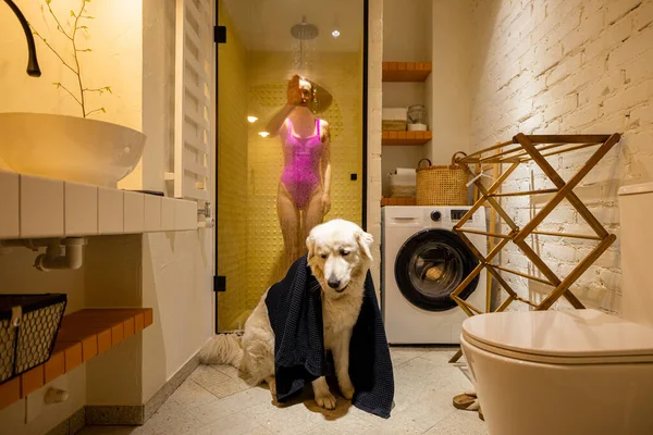 Cute dog covered with a towel in bathrrom with a woman taking shower on background. Daily routine and hygien, domestic lifestyle and pets concept