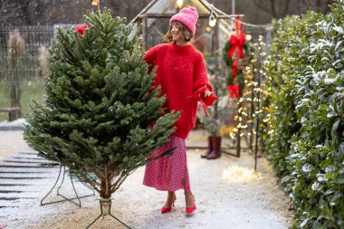 Kırmızılı genç kadın, kış tatiline hazırlanırken evinin arka bahçesinde Noel ağacını şenlikli fiyonklarla süslüyor.