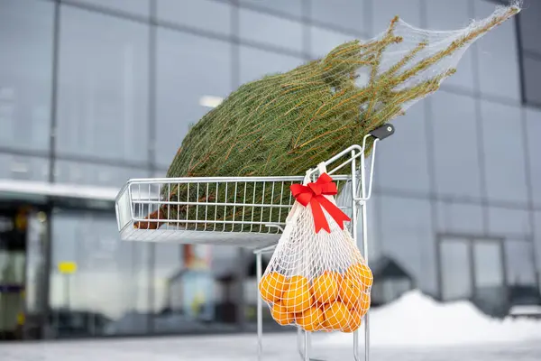 屋外のショッピング モールの近くの袋の包まれたクリスマス ツリーそしてフルーツが付いているショッピング カート 冬休みのショッピングコンセプト — ストック写真