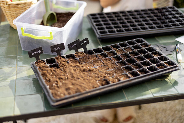 Seedling trays filled with a soil on table during the sowing seeds process, close-up