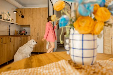 Pembe elbiseli bir kadın modern ve şık bir dairede köpeğiyle vakit geçirir. Yurt içi yaşam tarzı