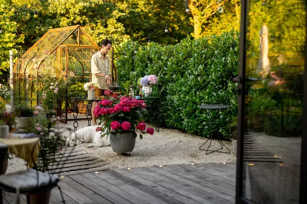Man Cooks Beautiful Garden Gerenhouse His Dog Backside House Spending — ภาพถ่ายสต็อก