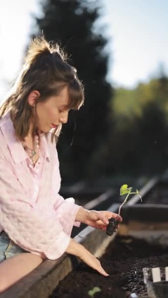 若い女性は庭の庭で野菜の芽を植えています 自宅近くでオーガニック食品を栽培 — ストック動画