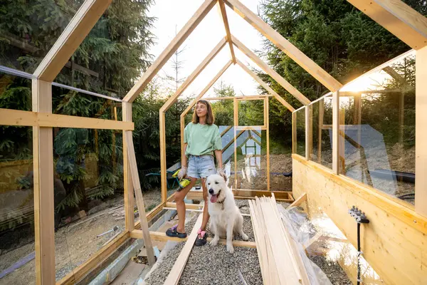 stock image Female carpenter playing with her dog inside a partially built wooden greenhouse in her backyard. She is wearing casual clothes and work gloves, engaged in a DIY project, surrounded by nature