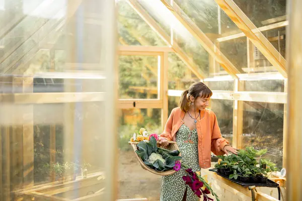 stock image A young woman in a greenhouse holding a basket of fresh vegetables and flowers, tending to seedlings. A serene moment of nurturing and connection with nature