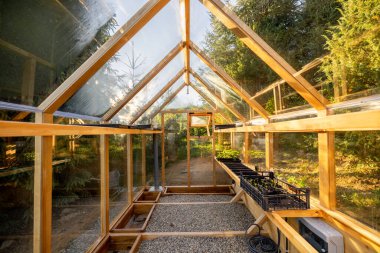 Ahşap çerçeveli, berrak panelleri olan, güneş ışığıyla yıkanmış bir seranın iç manzarası. Tepsilerdeki genç bitkiler ekime hazır, büyüme ve sürdürülebilirlik ortamı yaratıyorlar.