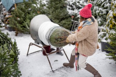 Kadın paketleri Noel ağacını açık hava pazarından yeni yıl tatili için özel olarak satın aldı.