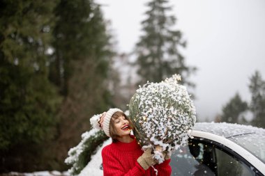 Karlı havada dağlarda arabayla seyahat ederken bir kadın omuzunda sarılı Noel ağacı taşır. Mutlu kış tatili hazırlığı kavramı