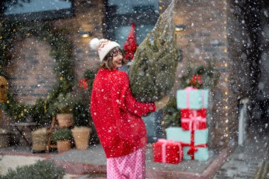 Kırmızı kazaklı ve şapkalı kadın, hediye kutularıyla süslenmiş bir eve paketlenmiş Noel ağacı taşıyor. Kış tatili için, arkadan görülüyor. Yeni yıl tatili için hazırlık ve dekorasyon kavramı