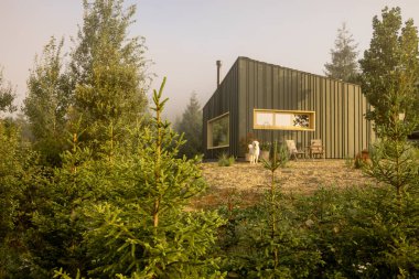 Modern bir kulübe, sakin bir doğal manzarayla çevrili, yumuşak sabah ışığında güneşleniyor. Doğaya barışçıl bir kaçış için mükemmel bir yer.
