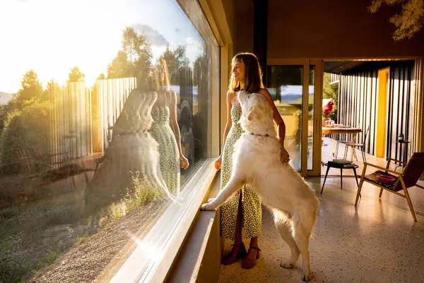 Büyük bir pencereden süzülen bir kadın ve köpeğinin altın güneş ışığının tadını çıkardığı yürek ısıtan bir sahne.