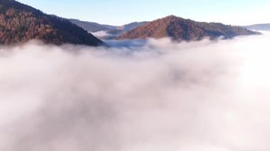 Yoğun sisle kaplanmış Karpat dağlarının nefes kesici hava manzarası. Sisin içinden zirveler çıkar ve ormanın sonbahar renklerine vurgu yapar. Sonbaharda insansız hava aracı ile yakalandı.