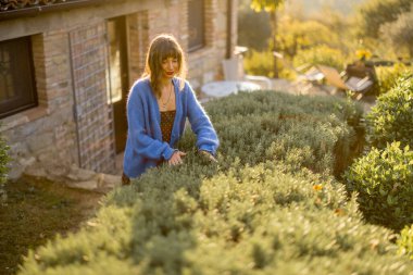 Kırsal bir bahçede huzurlu bir anın tadını çıkaran bir kadın, yemyeşil bir yer ve sıcak güneş ışığıyla yıkanmış büyüleyici bir taş ev ile çevrili. Kırsal sakinliğin ve yaşam tarzının mükemmel bir tasviri.