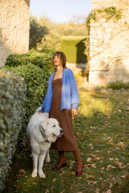 İki köpek, yemyeşil ve kırsal cazibeyle çevrili sakin bir kırsal alanda çimenlikte neşeyle oynuyorlar. Yürek ısıtan bir arkadaşlık ve kırsal yaşam manzarası.