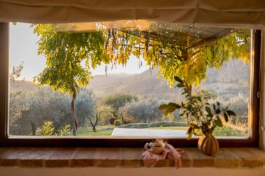 Kırsal bir pencere tarafından çerçevelenmiş pitoresk bir kırsal manzara. Sahnede sarmaşıklarla kaplı bir pergola, yuvarlanan tepeler ve yemyeşil alanlar yer alıyor. Bir vazo çiçek ve pencere kenarındaki çay seti...