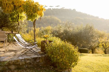 Bereketli yeşilliklerle çevrili ve Tuscany 'nin yuvarlanan tepelerine bakan, şezlonglarla dolu sakin bir teras. Rahatlama ve kırsal cazibe temaları için mükemmel.