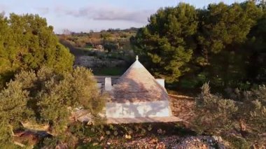 İtalya 'nın Puglia bölgesinde yemyeşil ve antik zeytin ağaçlarıyla çevrili klasik bir trullo evinin hava drone görüntüsü