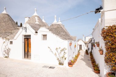Alberobello 'da yol boyunca uzanan ikonik trulli evler ve terasotta saksıları ile aydınlık bir ara sokak huzurlu ve pitoresk bir güney İtalya atmosferi yaratıyor.