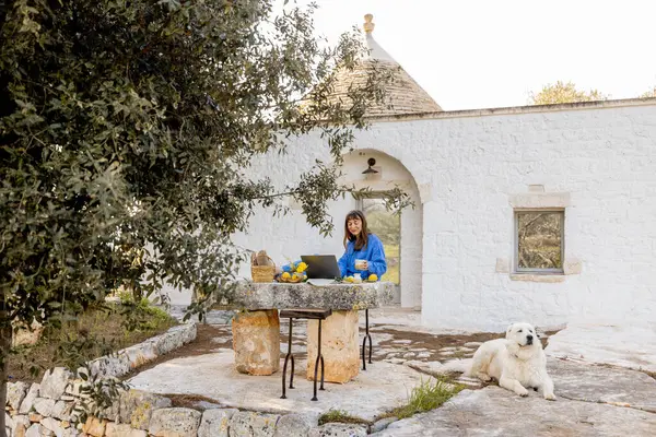 Bir kadın köpeğiyle birlikte trullo evinin önündeki taştan bir masada dizüstü bilgisayarıyla çalışıyor. Konsept uzak çalışmaları, dijital göçebe yaşam tarzını ve barışçıl doğa bağlantısını yakalıyor