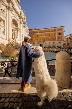 Bir kadın ve tüylü beyaz köpeği Roma 'daki Trevi Çeşmesi' nin orada güneşli bir anın tadını çıkarıyorlar. Huzurlu, iç açıcı bir yoldaşlık ve seyahat sahnesi.