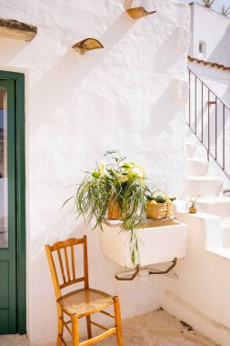 Eski sandalyeli güneşli bir köşe, kırsal lavabo ve terracotta vazosunda yabani çiçek aranjmanı. Akdeniz sakinliği, minimalizm ve beyazlatılmış doğal dokular.