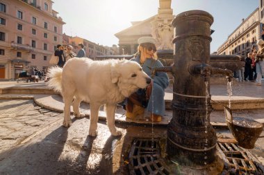 Beyaz tüylü bir köpek geleneksel bir Roma çeşmesinden içerken sahibi yakınlarda gülümserken günışığı arka planında ikonik bir Panteon var.