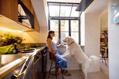 Bir kadın güneşli bir İtalyan mutfağında büyük beyaz köpeğiyle huzurlu bir kahvaltı anını paylaşıyor. Evcil hayvan ürünleri markaları, ev yaşam tarzı veya mutfak tasarımı içeriği için harika