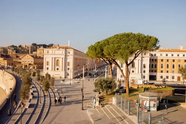 Yukarıdan Via della Conciliazione ve Vatikan 'ın güneşli manzarası, zarif Roma çam ağaçları ve klasik binalar tarafından yumuşak altın ışıkta çerçevelenmiştir.