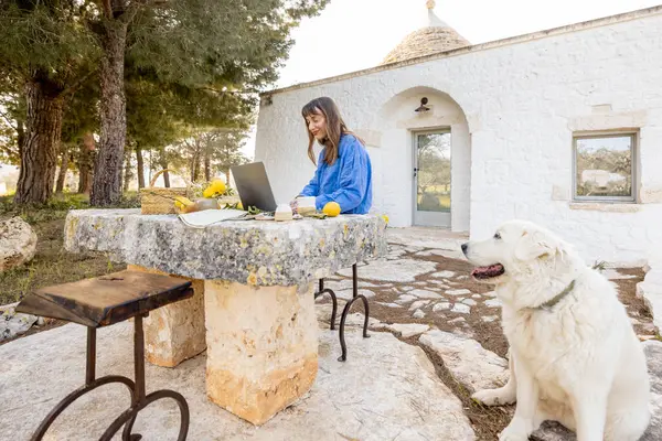 Bir kadın köpeğiyle birlikte trullo evinin önündeki taştan bir masada dizüstü bilgisayarıyla çalışıyor. Konsept uzak çalışmaları, dijital göçebe yaşam tarzını ve barışçıl doğa bağlantısını yakalıyor