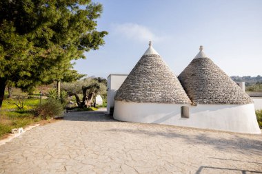Güney İtalya 'da berrak bir gökyüzünün altında beyazlatılmış trullo evinin iki geleneksel konik çatısı sabah ışığında ikonik Apulian mimarisi sergiliyor.