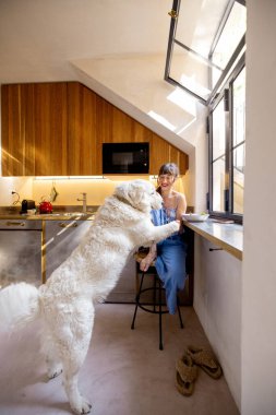Bir kadın güneşli bir İtalyan mutfağında büyük beyaz köpeğiyle huzurlu bir kahvaltı anını paylaşıyor. Evcil hayvan ürünleri markaları, ev yaşam tarzı veya mutfak tasarımı içeriği için harika