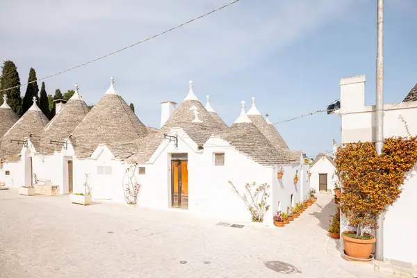 Alberobello 'da yol boyunca uzanan ikonik trulli evler ve terasotta saksıları ile aydınlık bir ara sokak huzurlu ve pitoresk bir güney İtalya atmosferi yaratıyor.