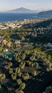İtalya 'nın Sorrento kenti yakınlarındaki manzaralı sahil manzarası, yemyeşil tepeler, geleneksel limon bahçeleri ve derin mavi denize bakan Akdeniz villaları.